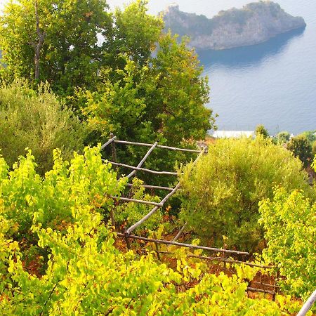 Giardino Sul Mare Apartment Amalfi Exterior photo